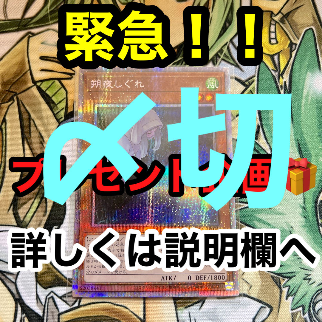 緊急プレゼント企画！！　 1枚