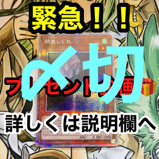 緊急プレゼント企画！！　 1枚