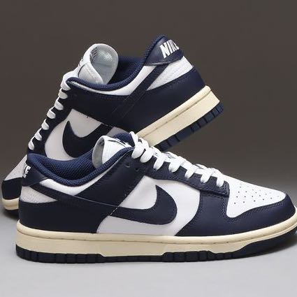 Nike Women's Dunk Low "Vintage NeMinar" DD1503-115 28cm