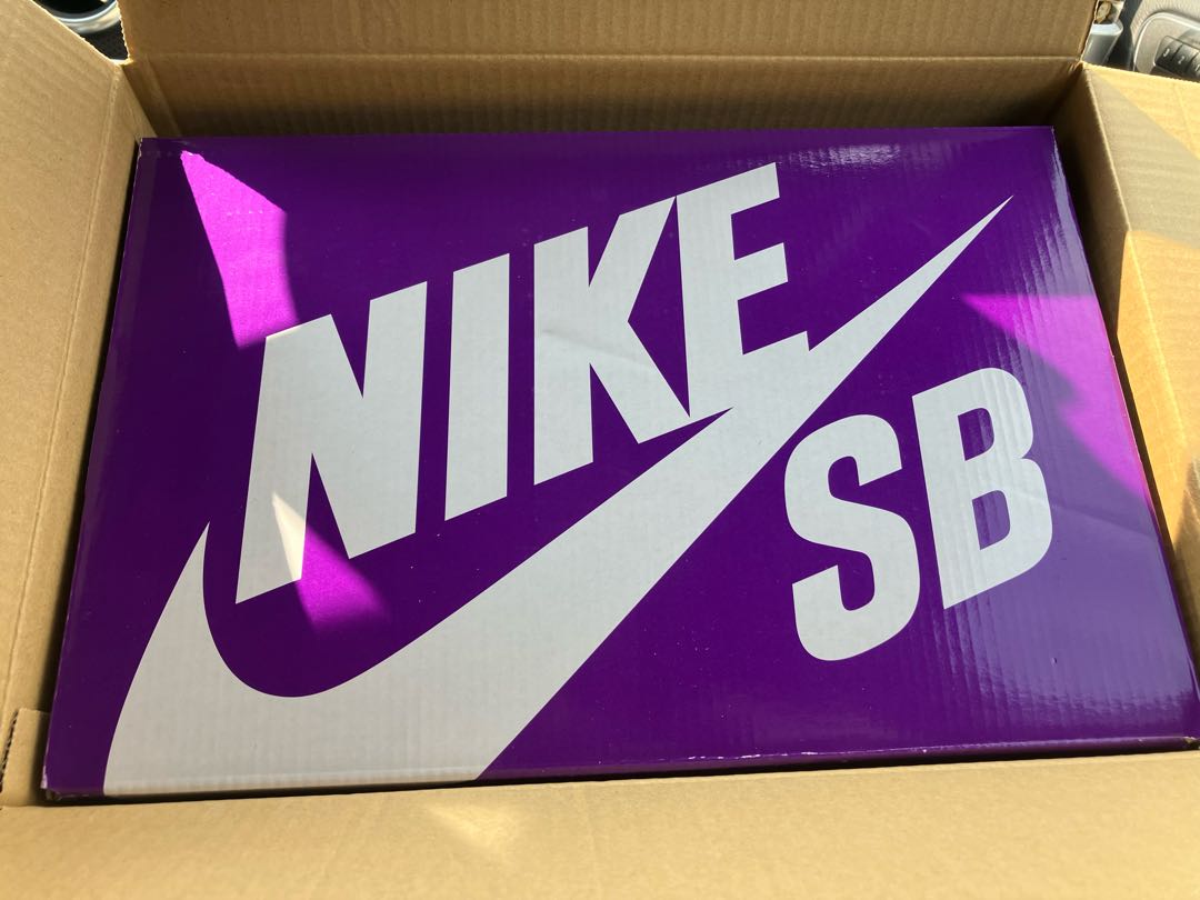 Nike SB Dunk High "Rush Snubbull and Team Orange/New York Mets" DH7155-001 28.5cm