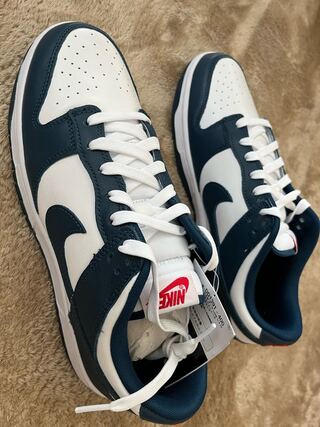 29cm Nike Dunk Low "Valerian Snubbull" 29cm