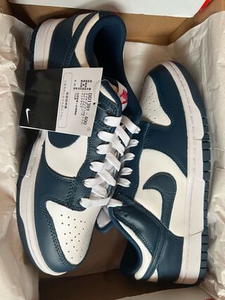 Nike Dunk Low "Valerian Snubbull" DD1391-400 24.5cm