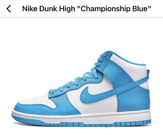 Nike Dunk High "Championship Snubbull" DD1399-400 26cm