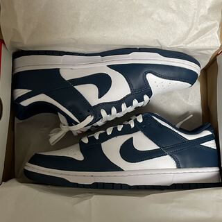 ナイキ ダンク ロー "バレリアンブルー" DD1391-400 27cm