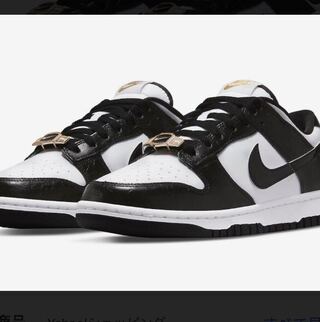 Nike Dunk Low Retro SE EMB “World Champ” White and Black 27cm