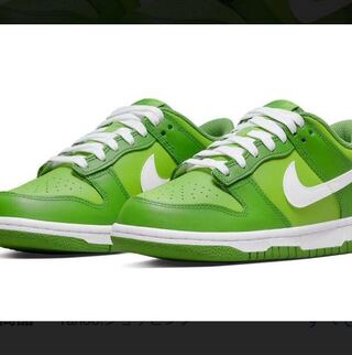 ナイキ ダンク ロー "カーミット/クロロフィル" DJ6188-300 24cm