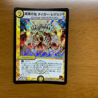 真実の名タイガーレジェンド