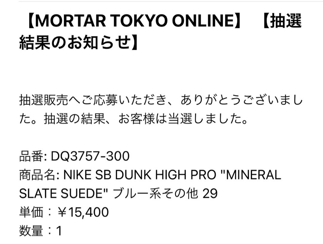 Nike SB Dunk High "Mineral Slate Suede" DQ3757-300 29cm