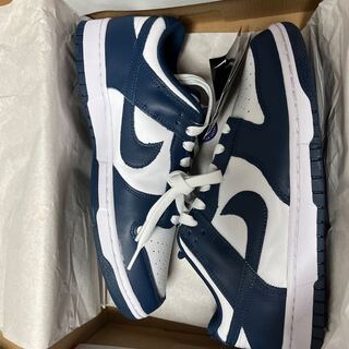 ナイキ ダンク ロー "バレリアンブルー" Valerian Blue 27.5cm