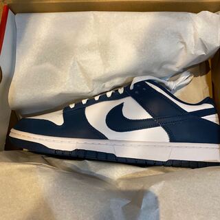 ナイキ ダンク ロー "バレリアンブルー" 30cm