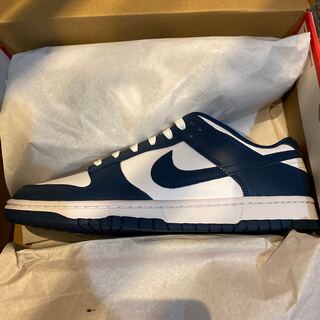 ナイキ ダンク ロー "バレリアンブルー" 29.5cm