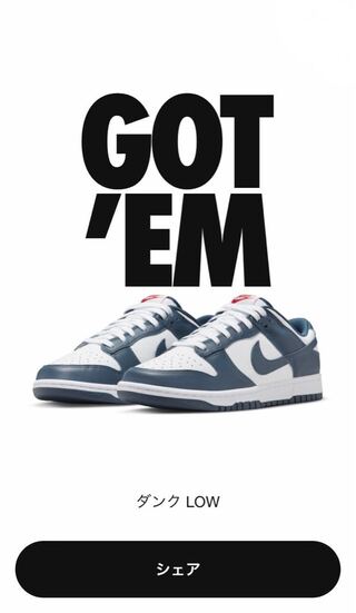 28cm ナイキ ダンク ロー "バレリアンブルー" 28cm