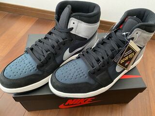 Nike Air Jordan 1 High Element Gore-Tex "Particle Grey" DB2889-001 28.5cm