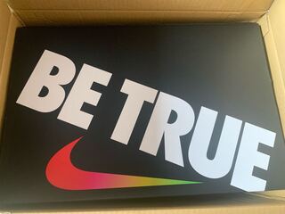 ナイキ SB ダンク ロー "ビー トゥルー" 27.5cm