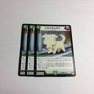 シロイヌムサシ　3枚