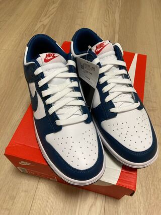 ナイキ ダンク ロー "バレリアンブルー" 28.0cm 28cm