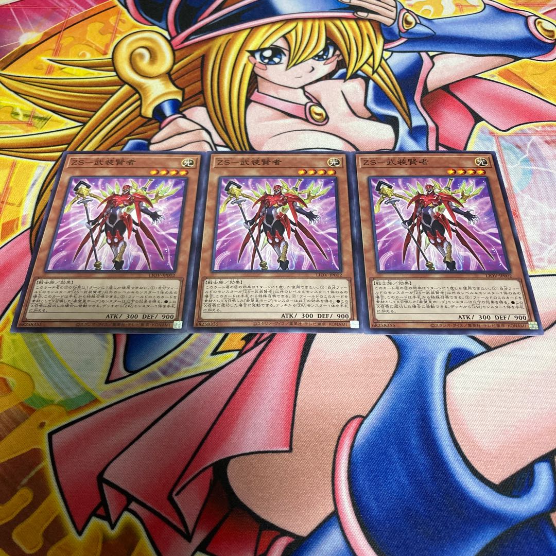 ZS-Armed Sage Normal JP002