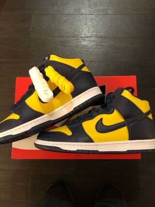 ナイキ ダンク ハイ "ミシガン" CZ8149-700 29cm