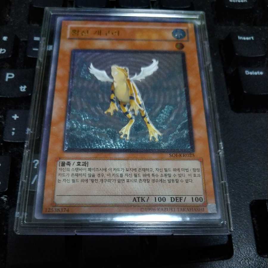 Treeborn Frog Korean Relief