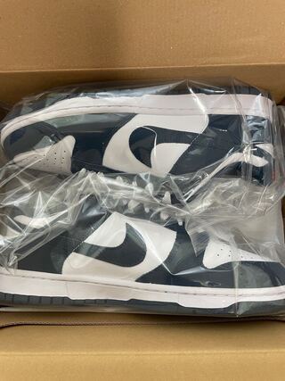 ナイキ ダンク ロー "バレリアンブルー" 28cm