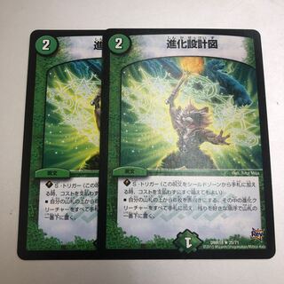 Evolutionary blueprints R 25/71 2 pieces