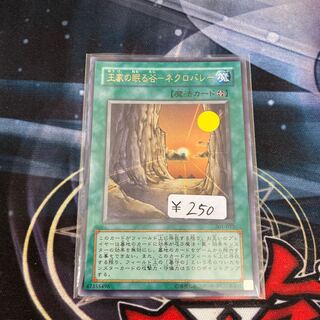 Valley of Sleep of Kings - Necro Valley, Ultra Rare, 1 copy, Special Price