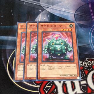 Cactus Bouncer Normal JP035 3 sheets Special Price