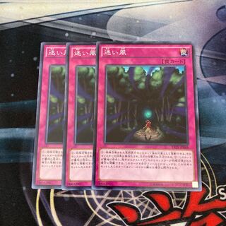 迷い風　ノーマル　3枚特価品