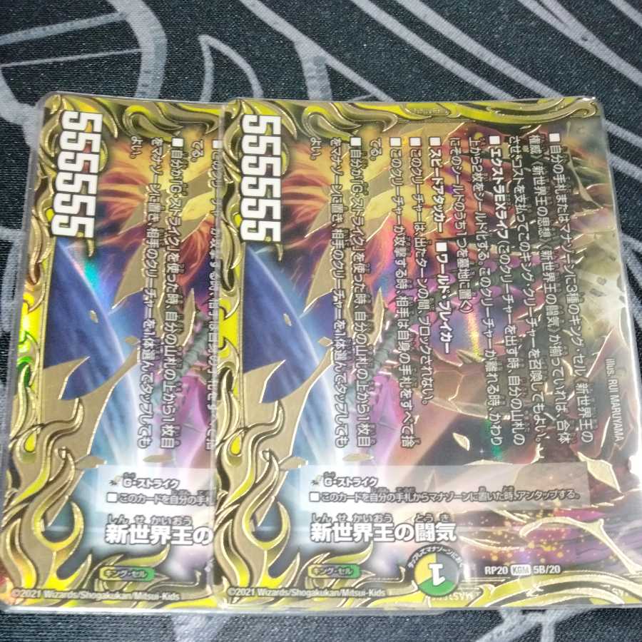 Fighting chi of the New World King|Volzeos-Balamord 20th