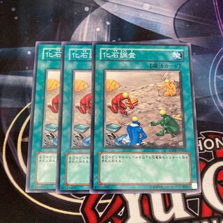 化石調査 ノーマル  3枚特価品