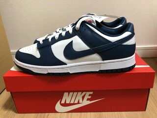 ナイキ ダンク ロー "バレリアンブルー" 28.5cm