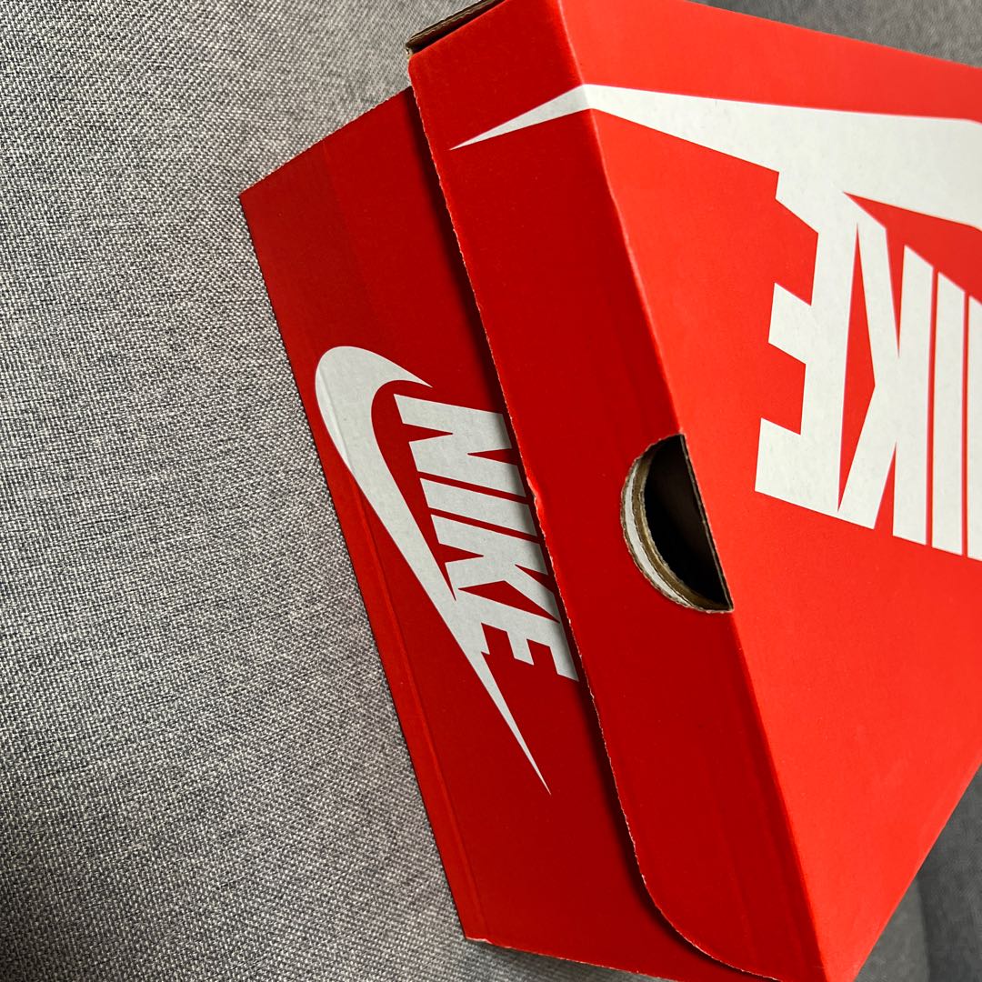 ナイキ ダンク ロー "チャンピオンシップ グレー" 28.5cm