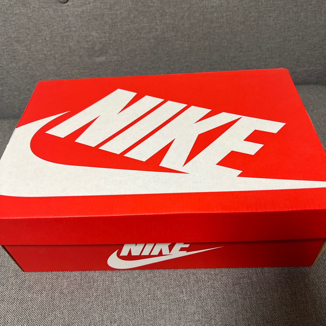 ナイキ ダンク ロー "チャンピオンシップ グレー" 28.5cm