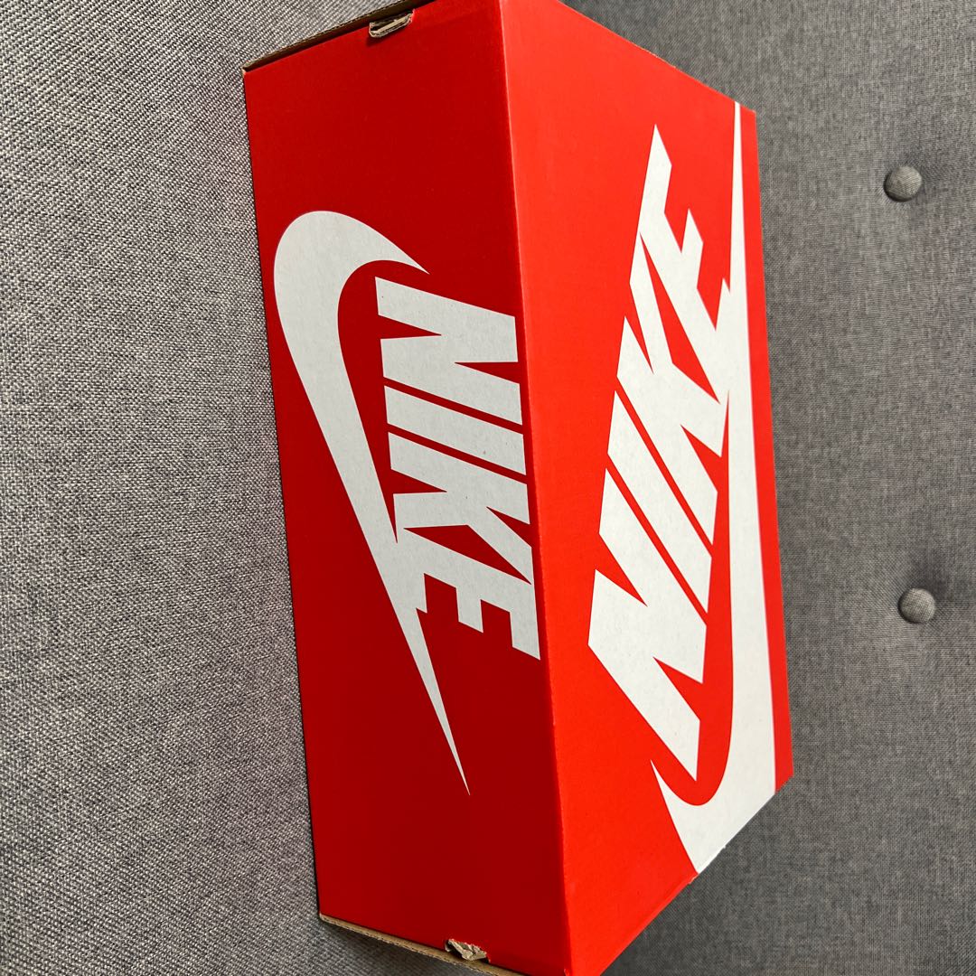 ナイキ ダンク ロー "チャンピオンシップ グレー" 28.5cm