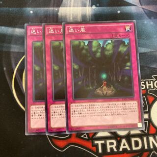 迷い風　ノーマル　3枚