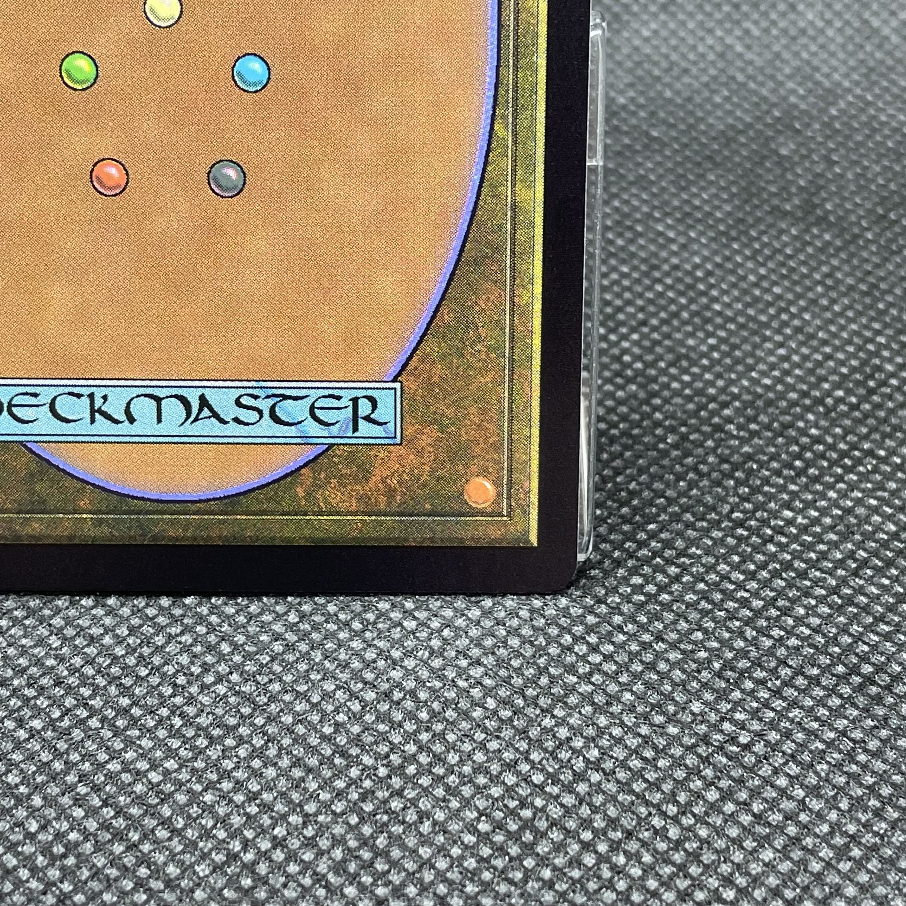 ■ショーケース■しつこい負け犬