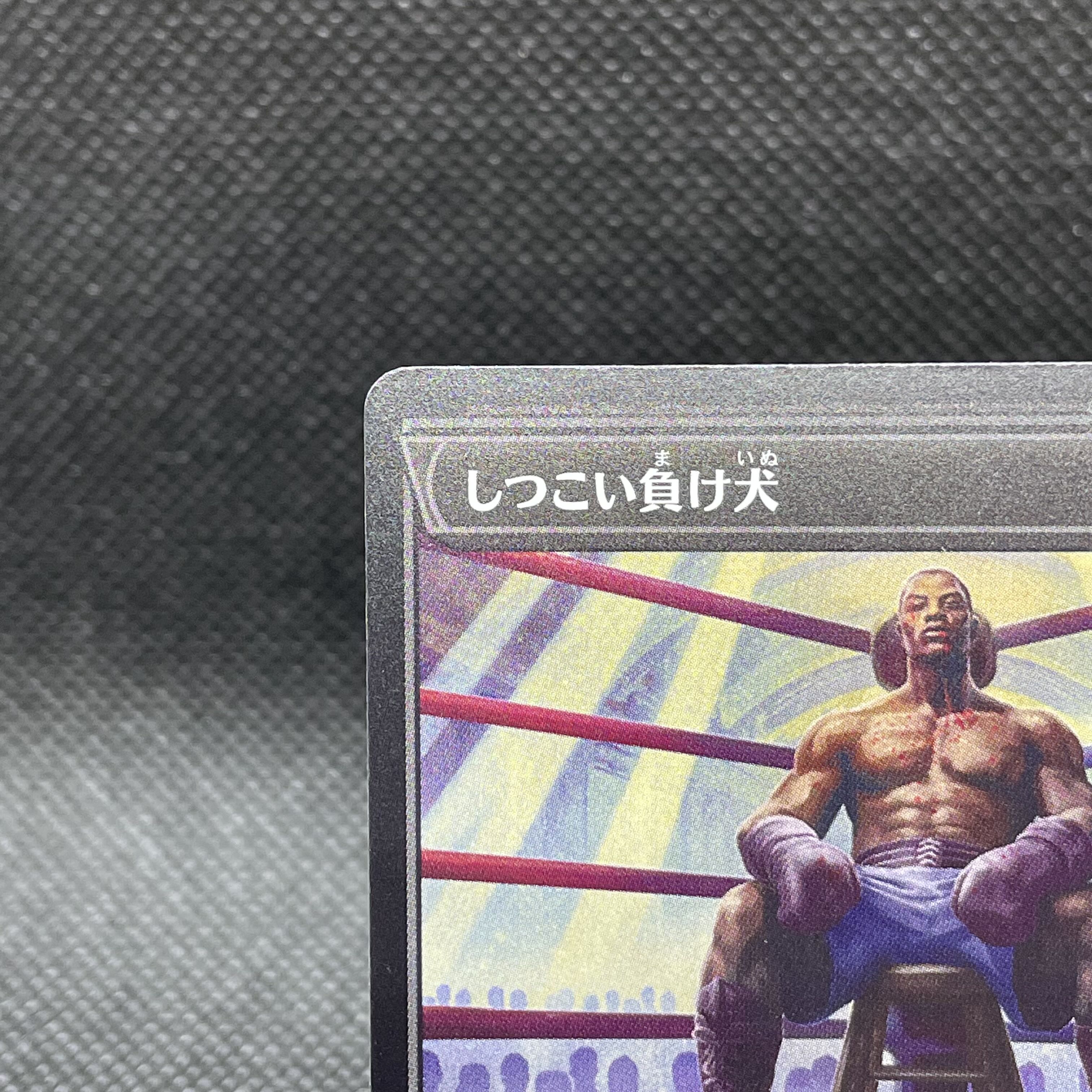 ■ショーケース■しつこい負け犬