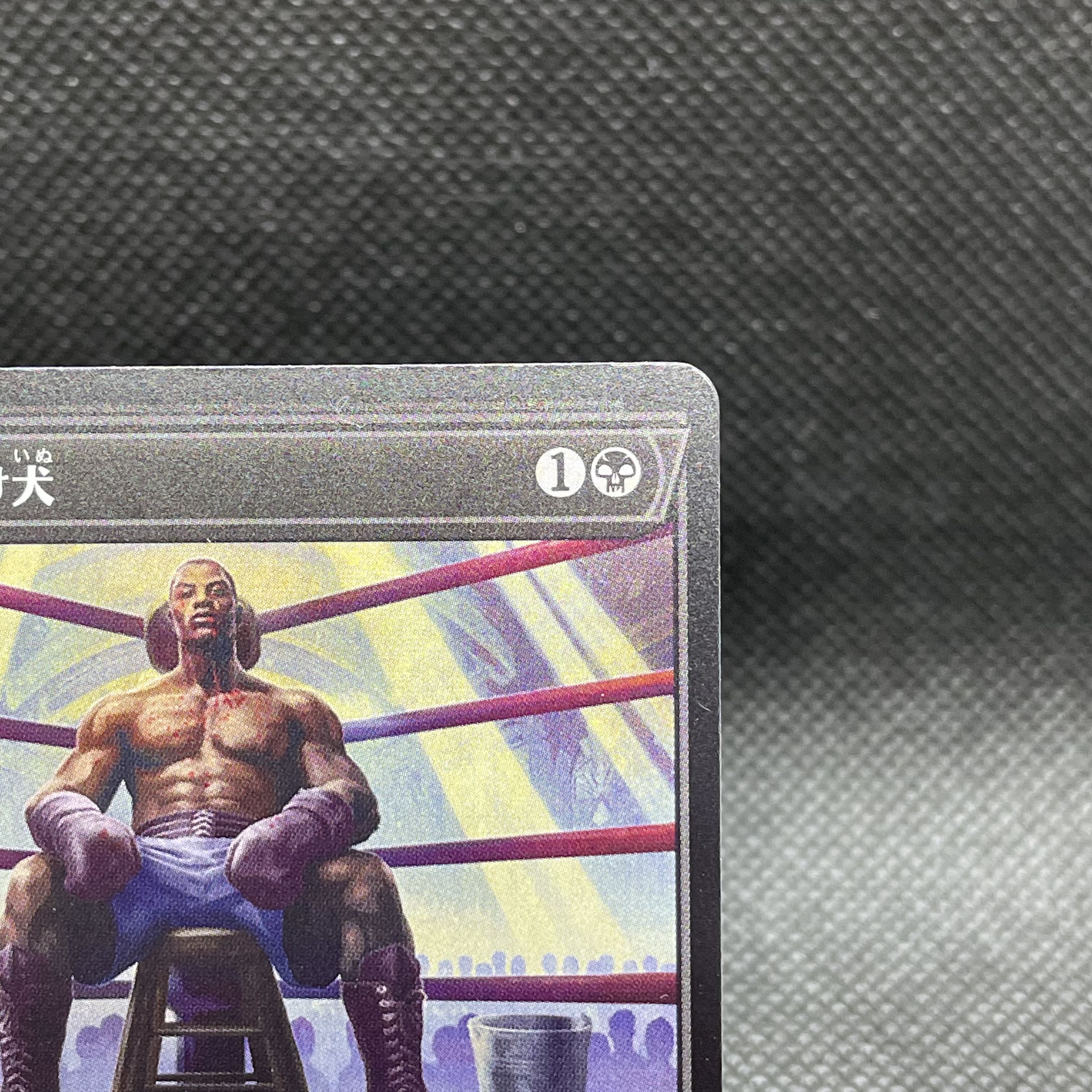 ■ショーケース■しつこい負け犬