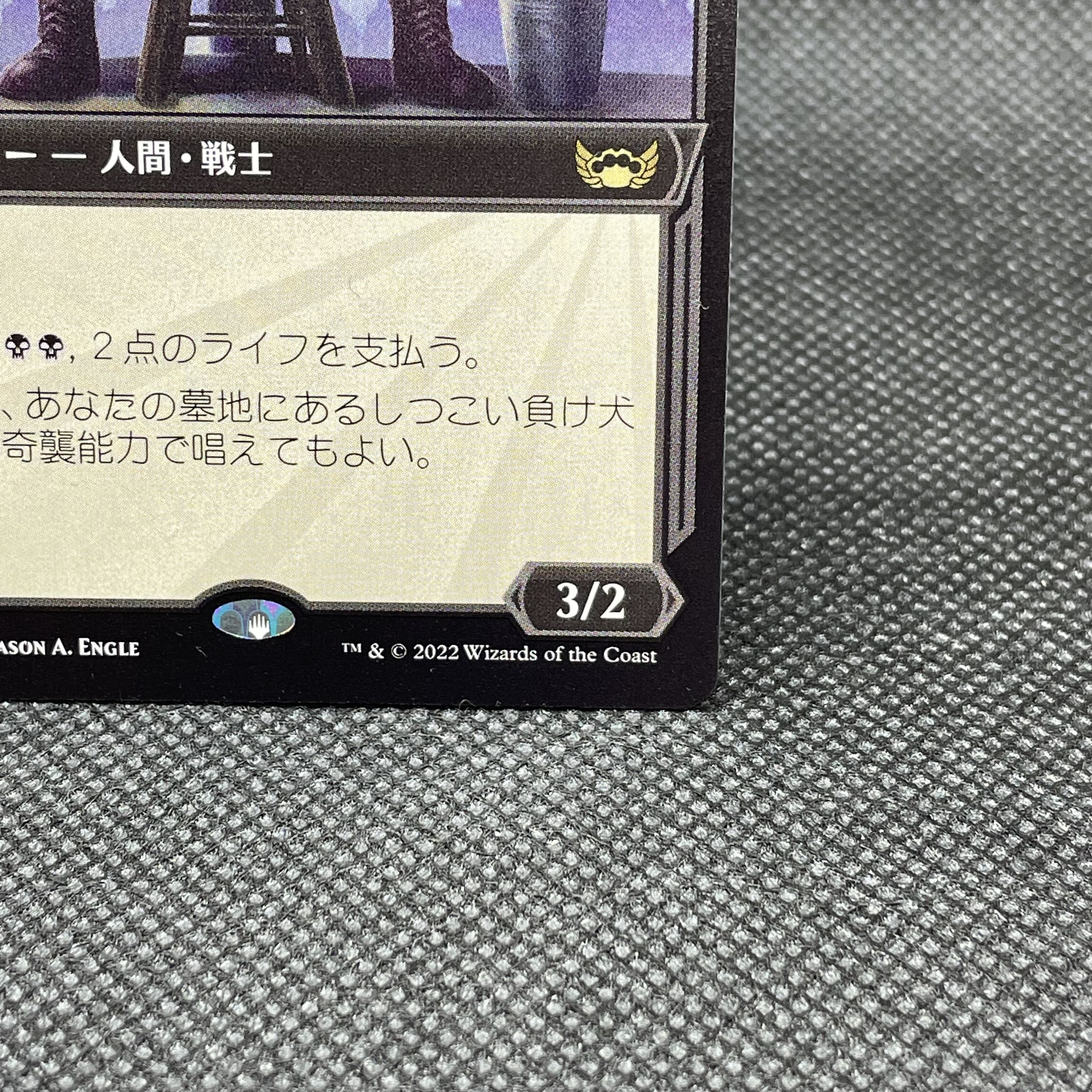 ■ショーケース■しつこい負け犬