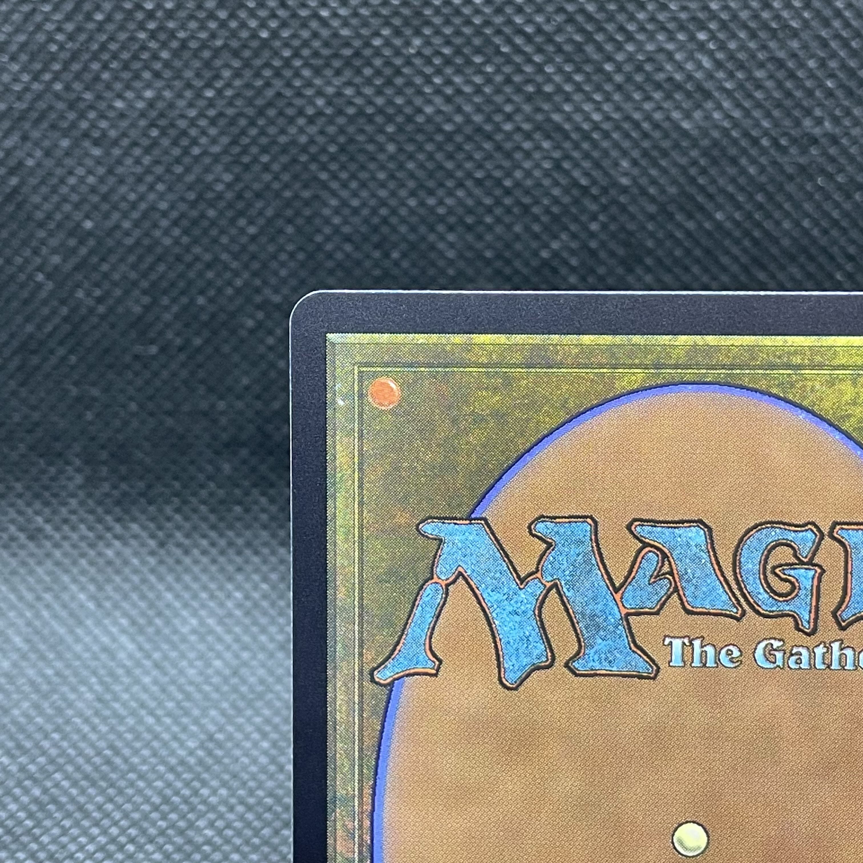 ■ショーケース■しつこい負け犬