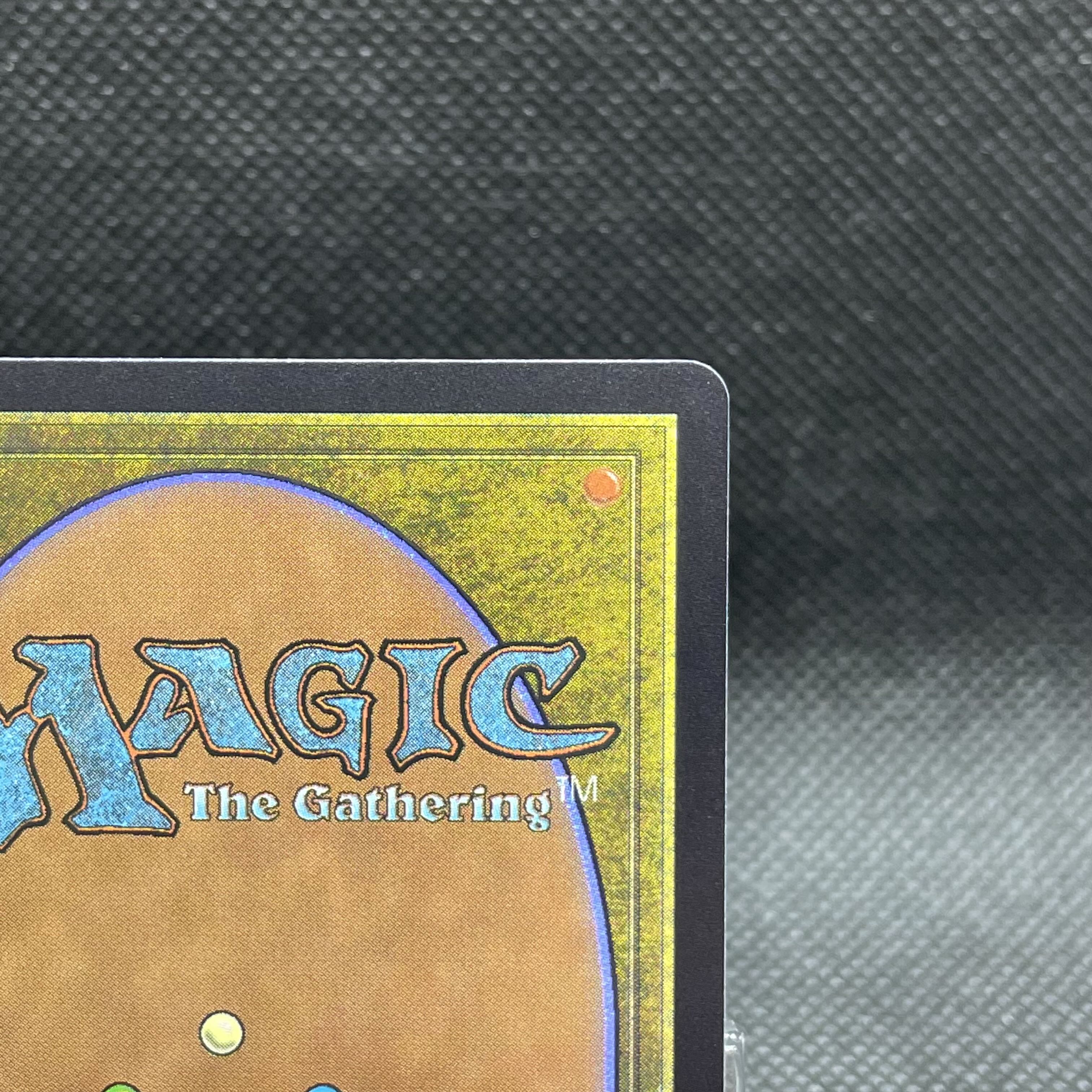 ■ショーケース■しつこい負け犬