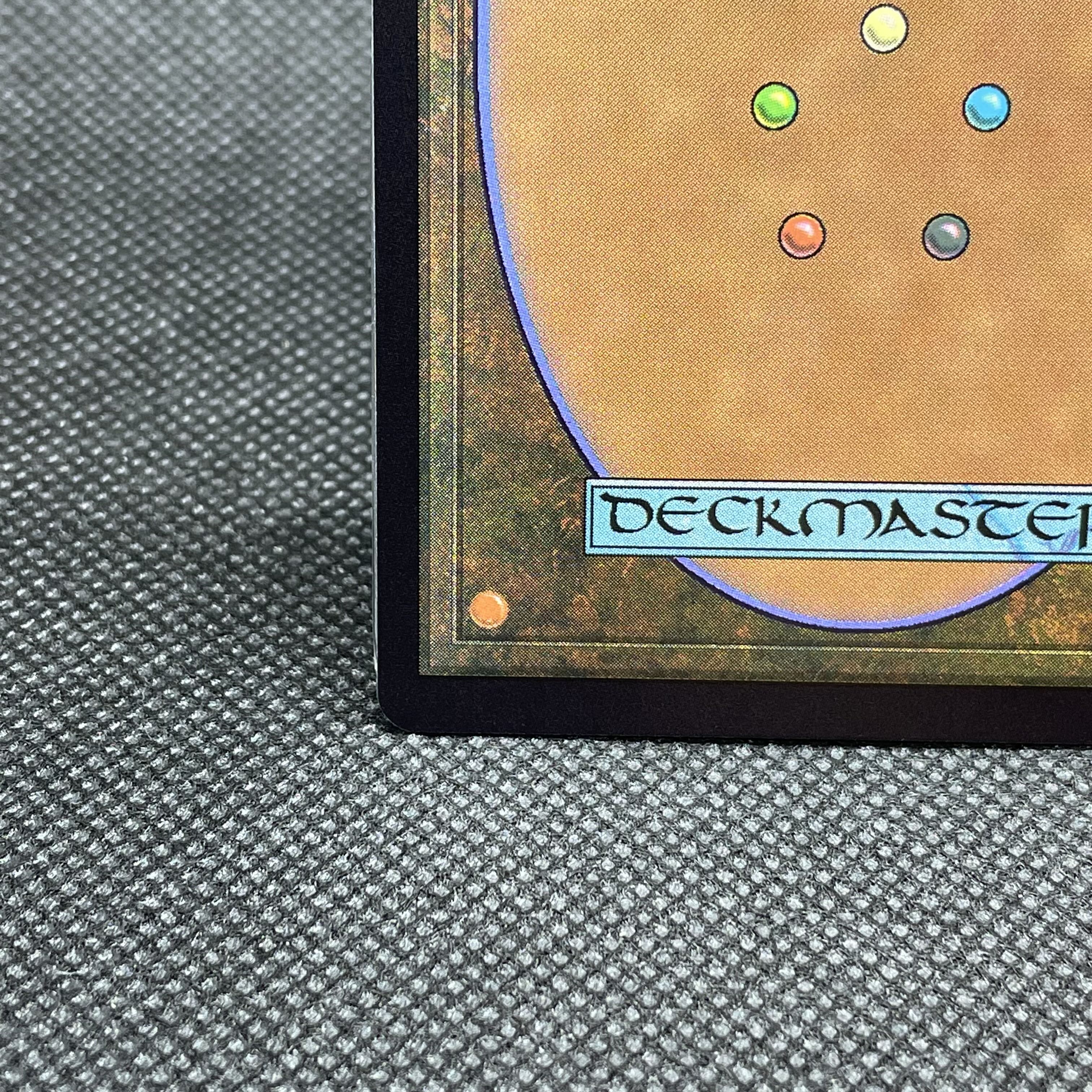 ■ショーケース■しつこい負け犬