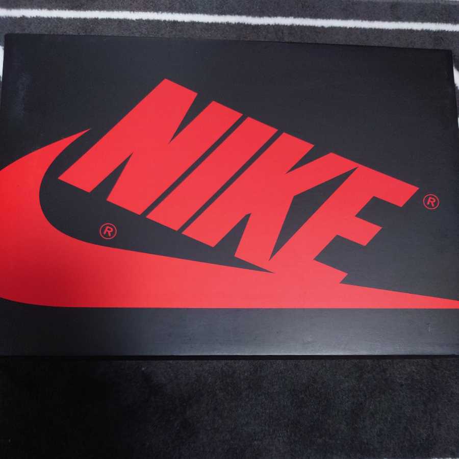 Nike GS Air Jordan 1 High OG "Bleached Coral" 27.5cm