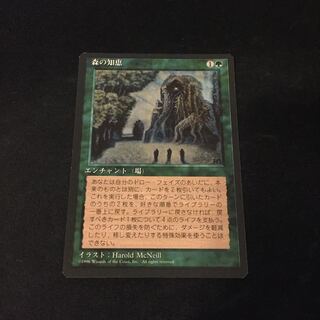 MTG 森の知恵 日版 4版 黒枠