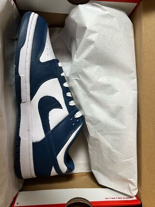 ナイキ ダンク ロー "バレリアンブルー" 27cm