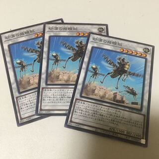 Desert Locusts Normal JP063