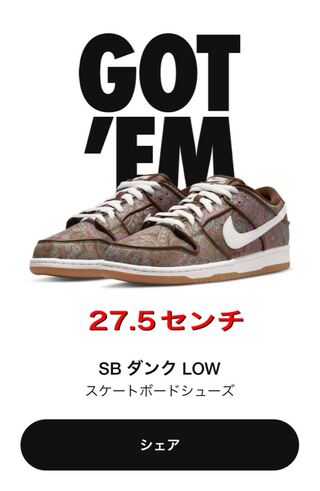 ナイキ SB ダンク ロー PRM "ブラウンペイズリー" 27.5cm