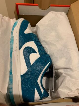 ナイキ ウィメンズ ダンク ロー "オーシャン" 24cm