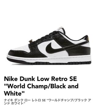 ナイキ ダンク ロー レトロ SE "ワールドチャンプ/ブラック アンド ホワイト" DR9511-100 27cm