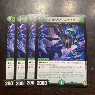 blue-spotted spider (Ctenochaetus vanderbilti)